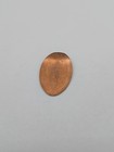 Niagra Falls State Park Cheif Rickard Coin Elongated Penny Souvenir