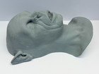 Greg Cannon Bram Stoker s Dracula Vampire Bat Makeup Test Bust Resin Cast
