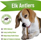 Dog Chews  Antlers For Dogs  Premium Natural Elk  Long Lasting Dog Bones For    