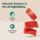 Salmon Sweet Potato Carrot Grain Free Dry Dog Food  4lb  Bag