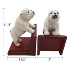 Pair Of Cast Iron Bulldog Bookends Organizer Home Office Gift