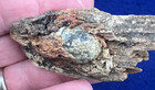 Bullet In Wood Fort Hell Sedgwick Battle Of Petersburg Va Civil War Minie Ball