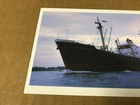 Vintage Hamburg-amerika Line Ship Photograph - 4  X 5 5 