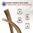 Chews Elk Antler Large Whole Alpha Dog Nutrition Treats Natural Healthy Training