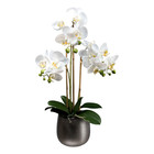Artificial Flower White Phalaenopsis Orchid 24  In Silver Ceramic Vase