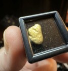 Swedish Gold Nugget     dorito    Gold 23k  1 26g Museum Grade- Sweden