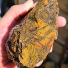 Rare 1 6 Lb Top Quality Brecciated Jasper-agate Rough  great Colors  From Utah