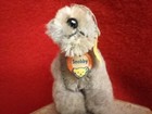 Steiff Vintage  snobby  Poodle 3 In Tall Grey Mohair With Button Ear Ean 5310 05
