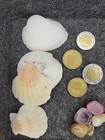 Junk Drawer Vintage Lot   Shells  Coins  Stones   Jewelry   Pins 