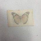 Vtg Tokio Cigarette Tobacco Diadem Butterfly Silk 32d4