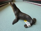 Schleich Sea Lion Adult Seal Marine Animal Figure 2006 Retired 14365 Toy W  Tag