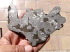 Incredible 174 13 Gram - Mundrabilla Iron Meteorite - Etched Full Slice