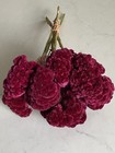 Cockscomb   Dried Flowers Celosia Bunch Bouquet Bundle Deep Hues Auc 1