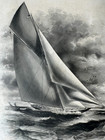 Vintage Security Bank Note Co Vignette Print 1899 America s Cup Yacht Columbia