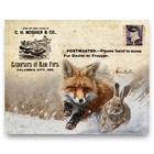 Vintage Fur Trapping Catalog Art Print Red Fox Trapping Hunting Cabin Decor Gift