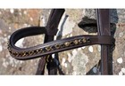 Dressage Bridle