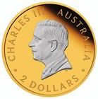 Kangaroo 2 Oz Silver Reverse Proof Gilded Coin Australia 2025