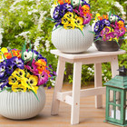 10 Bundles Artificial Pansy Flowers Uv Resistant Plastic Plants Fake Silk Fau   