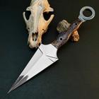 14 2  Inch D2 Dagger Knife Full Tang Resin Handle Fixed Blade Leather Sheath