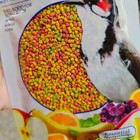 6 X 100 G  Zupreem Bird Food Natural Fruits Flavor High Protein And Vitamins