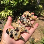 1pc Natural Chinese Painting Stone Quartz Carved Salamander Skull Crystal Reiki