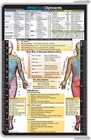 Whitecoat Clipboard   - White Physical Therapy Edition