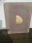 Vintage Punch Hardback Book 1873  - Rare And Collectable Antique Book 