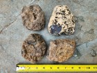Indian Black Skin Agates  Lot Of 4 Rough Agates  Ideal For Lapidary  4 Lbs Total