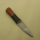 8 Inches Celtic Scottish Dirk Sgian Dubh Dagger Bone Handle Knife 