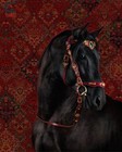 Fancy Horse Bridle With Reins Premium Quality Cowhide Leather 24k Gold Ornaments