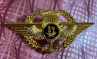 Qatar Gulf Wings Jump Parachute Paratrooper Arab Marines Infantry Navy Badge Pin