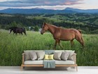 3d Horse Grassland Sky Self-adhesive Wallpaper Removable Wallpaper Wall Mural