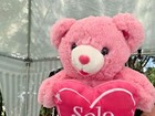 Very Rare Spanish Dan Dee Solo Tu Pink 2013 Teddy Bear Plush Stuffed Animal Toy