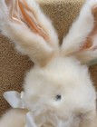 Plush Easter Rabbit - Posable - From Russ