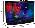 Glofish Crescent Aquarium Kit 5 10 Gallons  Includes Hidden Blue Led Light