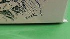  New  6  Pencil Sketch Kitten Cat Blank Art Note Greeting Cards All Occasions