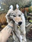 Coyote Headdress Native American Mountain Man Native Made To Order