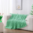 Mint Green 50 x60  Fleece Throw Blanket - Soft  Lightweight  Modern Design