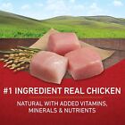 Purina One Chicken And Rice Formula Dry Dog Food - 8 Lb  Bag
