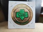 Ei Girl Scout Gsa Gsusa Wagggs Law Challenge Coin Do My Best Responsible Do Say