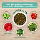 Oxbow Hay Toppers Garden Blend  Bunny Treats  Foraging 2 Ounce  pack Of 1  