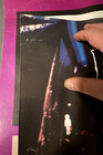 Down - Nola Promo Poster 20x30 1995 Eastwest Records Pantera