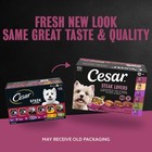 Cesar Wet Dog Food Steak Lovers Variety Pack 36 Count