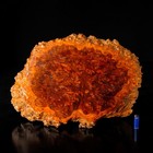Stunning Burl Wood Shikita  Stand  Zr38