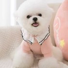 2 Leg Pet Dog Clothes Cat Puppy Coat Winter Hoodies Warm Sweater Jacket Clothing