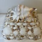 Vintage Handmade Seashell Lambis Shell Art Jewelry Trinket Box Coastal 9 X 7 X 7