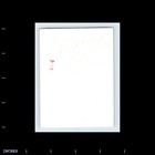 Old Vintage Photo Women Standing Outside