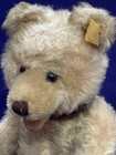 Antique Vintage Steiff Teddy Baby Bear 8 1 2   