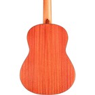 Cordoba Protege C1m 1 2 Size Nylon-string Classical Acoustic Guitar Natural