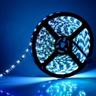 5m Rgb Led Strip Light Black Pcb 5050 Smd Ribbon Light Kit  remote adapter